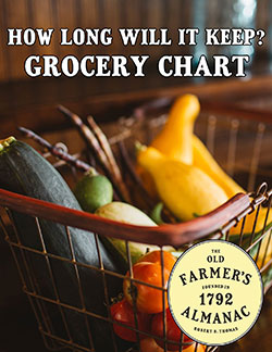 Food Freshness Chart
