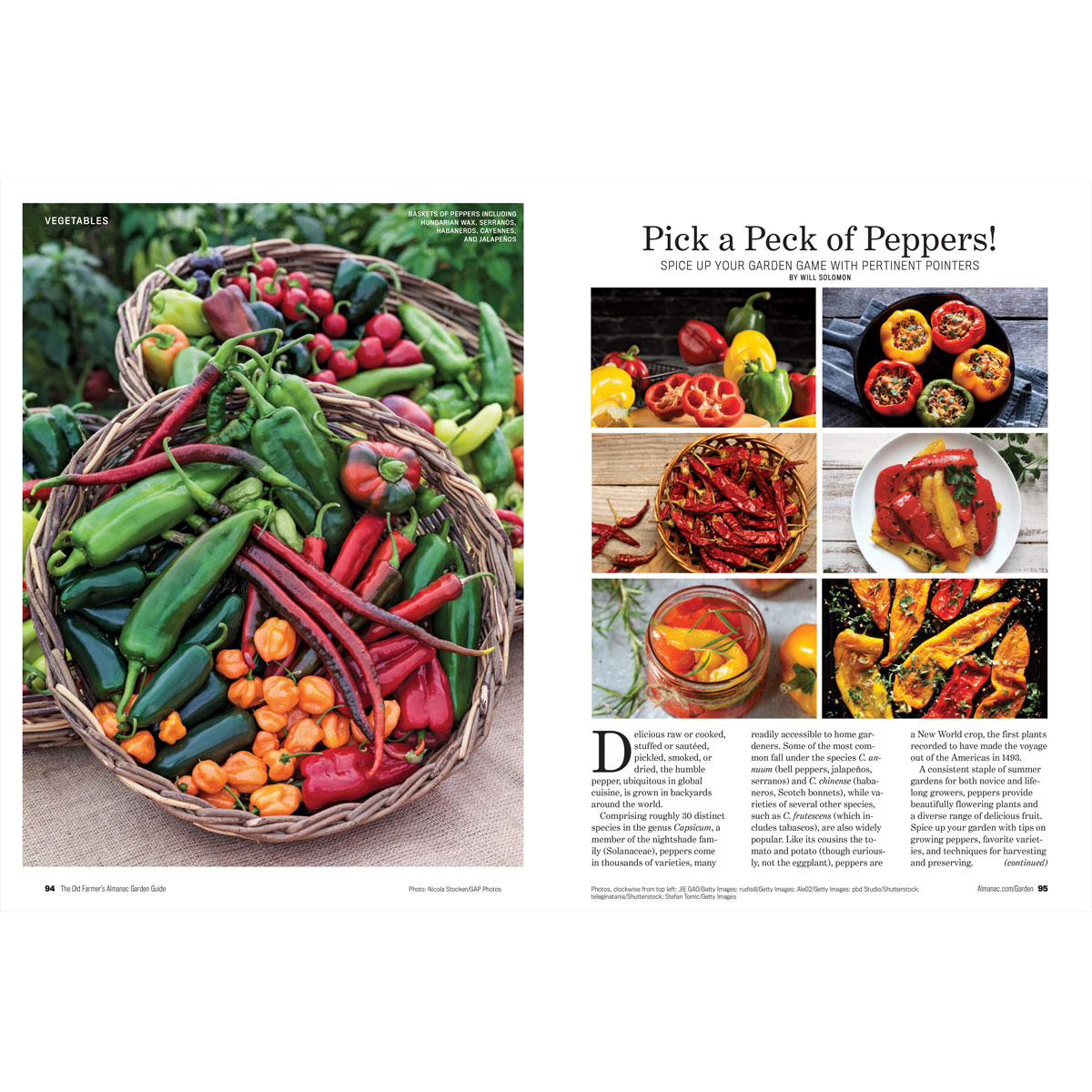 2026 Garden Guide Spread Peppers