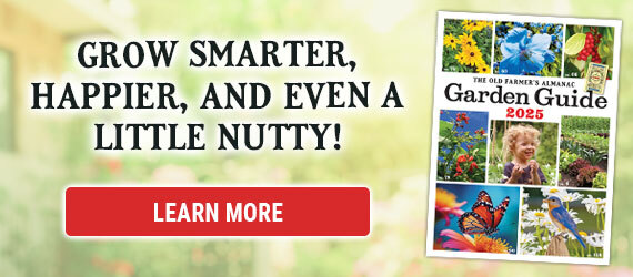 The 2025 Garden Guide