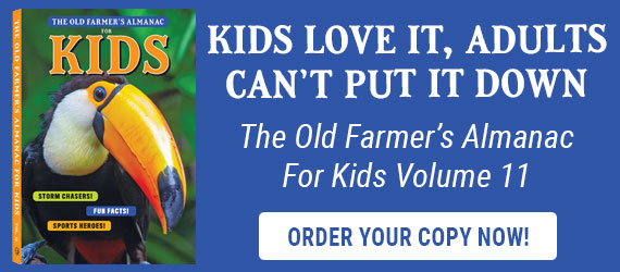 The Old Farmer's Almanac Kids Volume11