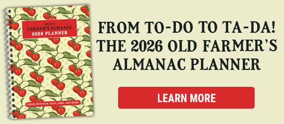 The Old Farmer's Almanac Planner