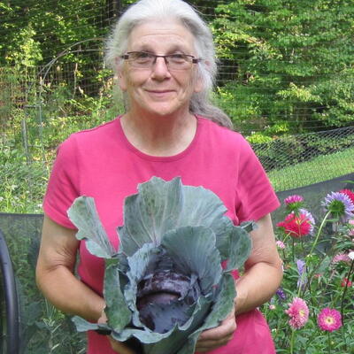 Robin Sweetser