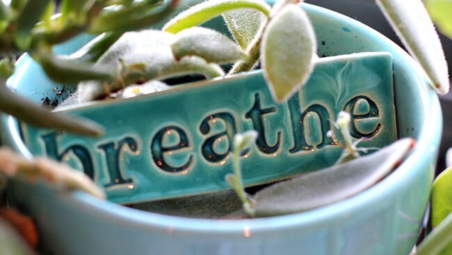 green porcelain planted with the word "breathe" on it