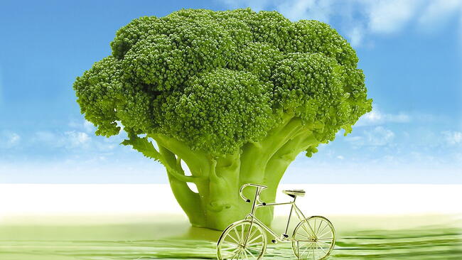 Whimsical image showing a broccoli head as a tree 