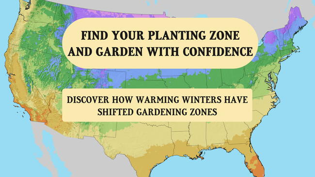 USDA Planting Zone Map