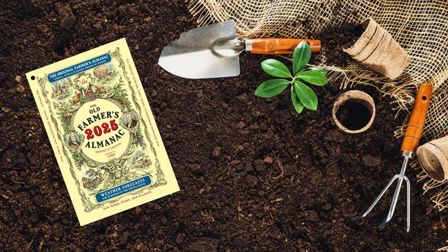 2025 Old Farmers Almanac in the Garden with Tools