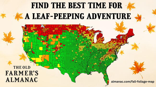 2026 Fall Foliage Map showing the typical progression of peak fall color across the United States.