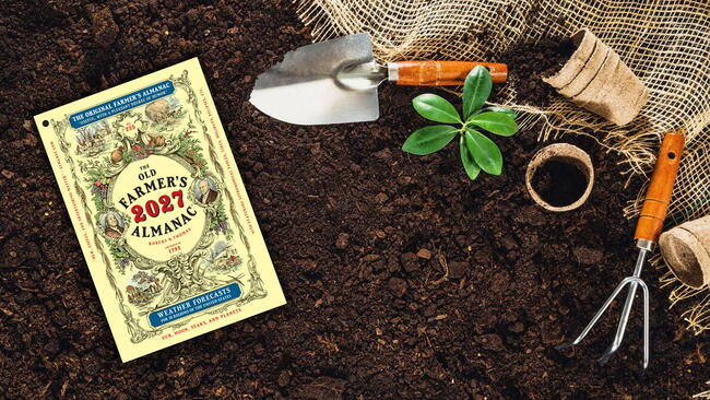 2027 Almanac Promotional Images