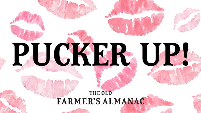 lip stick kisses, pucker up