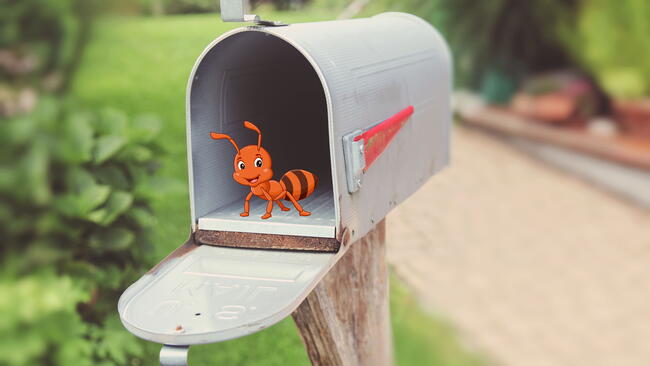 graphic ant in a photo of a mailbox