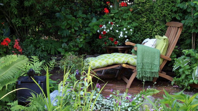 Backyard Retreat 