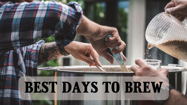 best days to brew