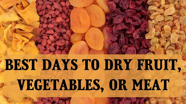 best days to dry fruit, vegetables, and meat, dried food