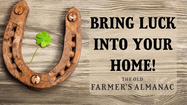 Bring luck into your home. rusty horse shoe and four leaf clover