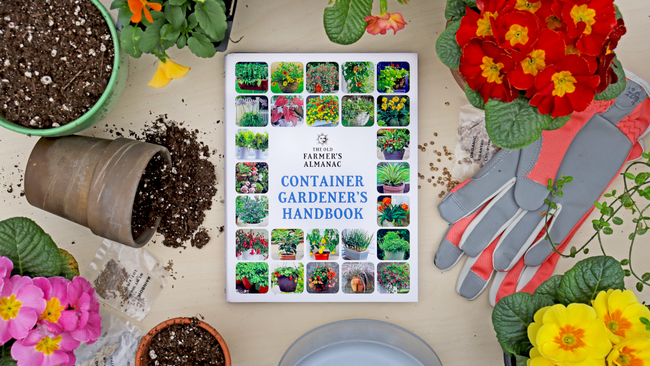Container Gardener's Handbook in the middle of gardening tools, including pots with soil, flowers, and gardening gloves