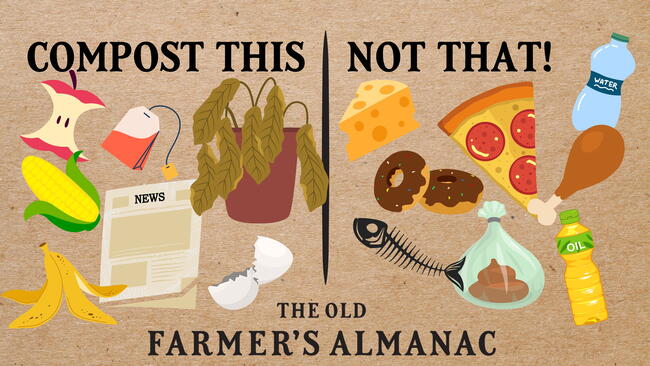 What Can Be Composted, eggs, apples, dead houseplants, corn, newspaper, bananas and tea bags. What can't be composted, cheese, donuts, fish bones, pizza, poop bag, water bottle, chicken bone, and oil