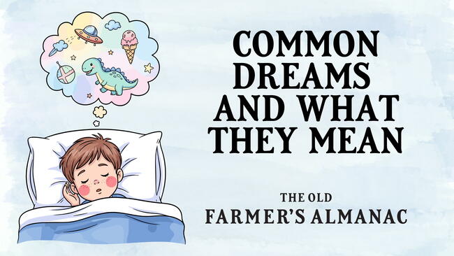 Common Dreams and What They Mean, illustration of boy dreaming in bed