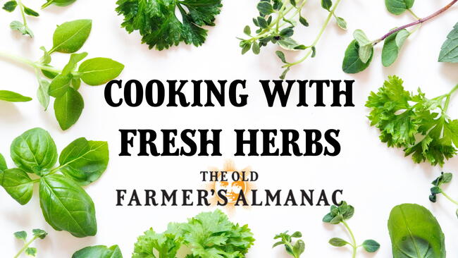 Cooking with Fresh Herbs, Herb recipes are a great way to use what you’ve got growing in your herb garden!