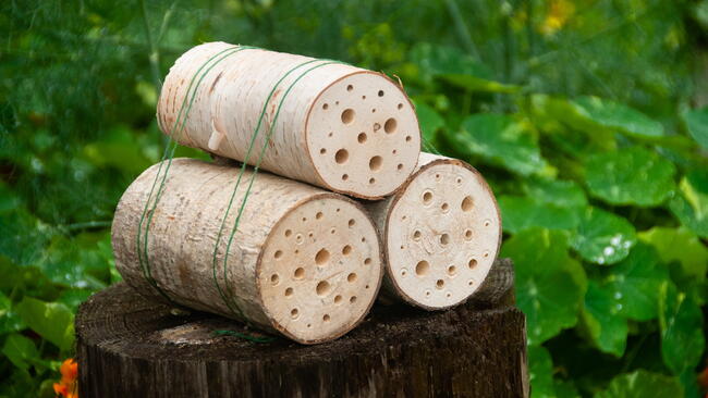 Completed Bug Hotel