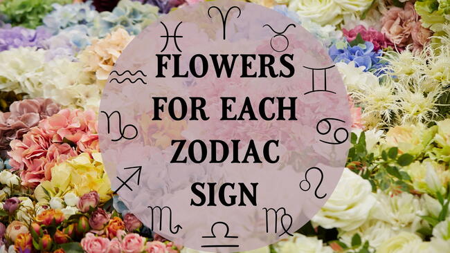 The best flowers for your zodiac sign, bunches of bright flowers