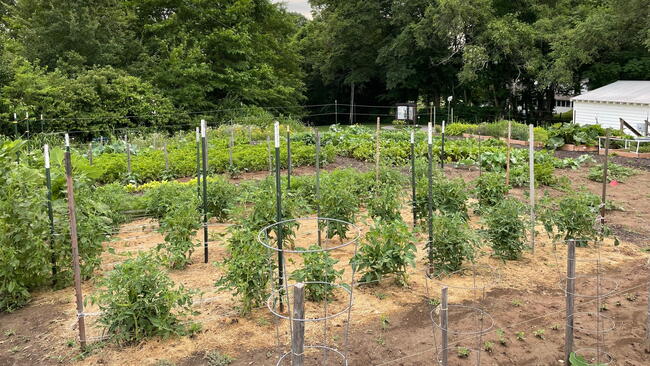 Heirloom Vegetable Garden