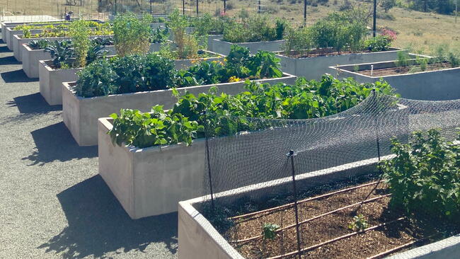 A raised garden made of concrete 