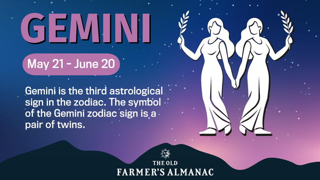 Gemini Zodiac Sign