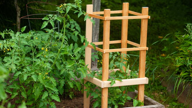 How to Build a Simple DIY Tomato Cage