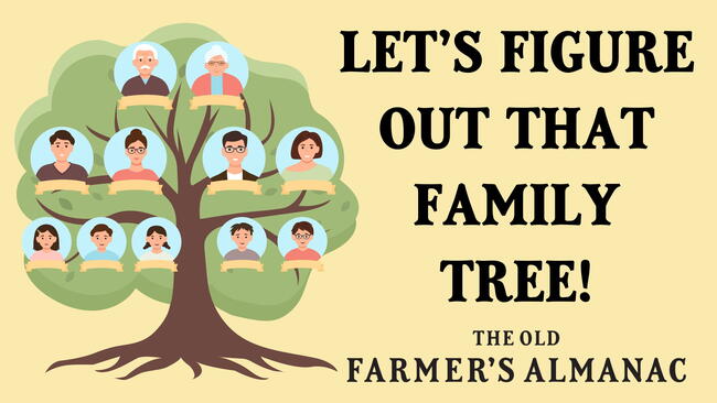 lets figure out the family tree, what is a second cousin, what is a third cousin