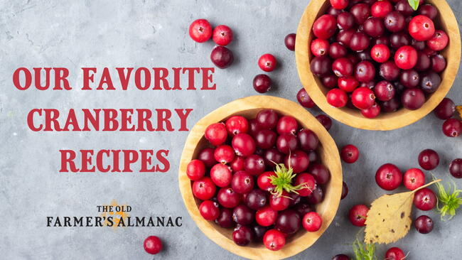our favorite cranberry recipes, cranberries