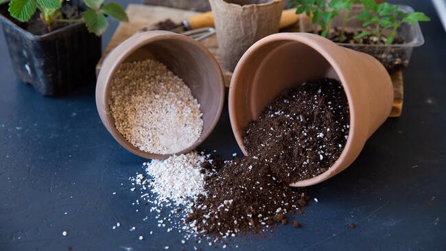 Perlite and vermiculite in plant pots