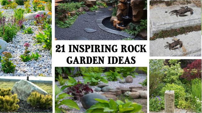 Rock Garden Design Ideas
