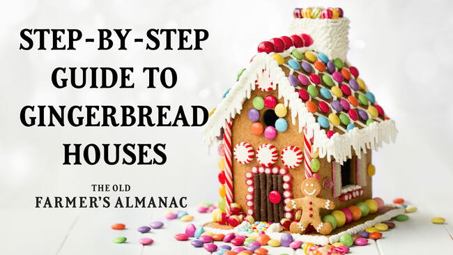 Gingerbread house decorated with colorful candies against a white background