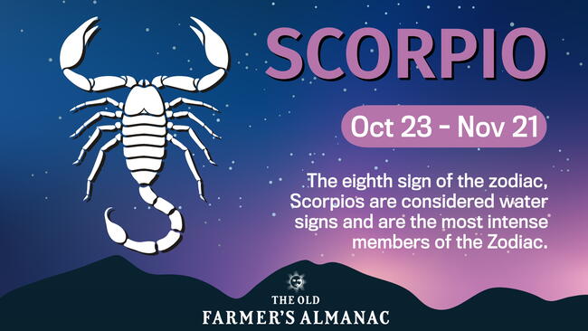 Scorpio zodiac sign