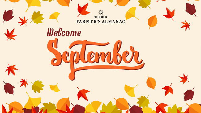 welcome september fall leaves