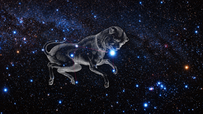 Illustration of Canis Major with Sirius, the Dog Star, in a star-filled night sky.