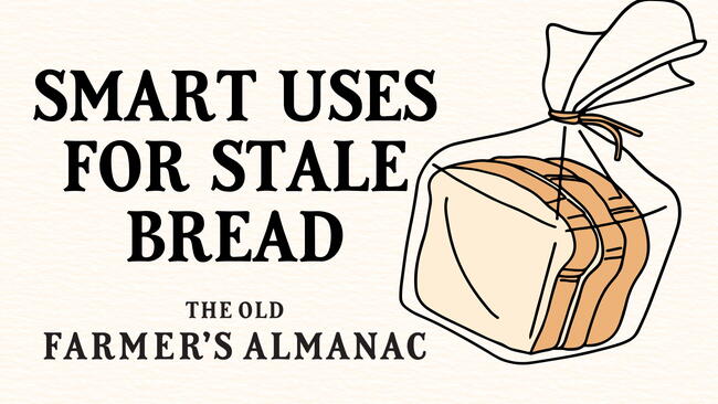 smart uses for stale bread around the house