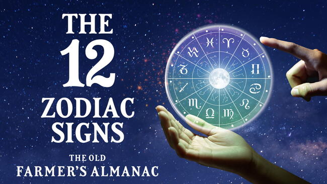 Zodiac wheel showing 12 signs against space