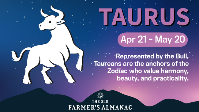 Taurus Zodiac Sign