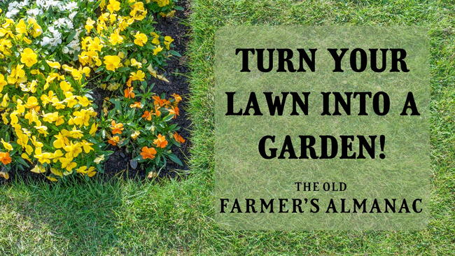 Corner of flower bed with orange, yellow & white flowers surrounded by green lawn. Turn Your Lawn into a Garden Lettering.