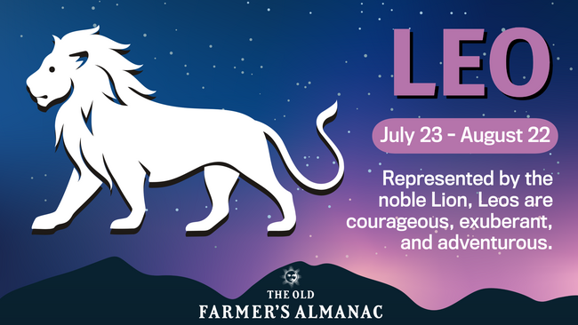 Leo Zodiac Sign