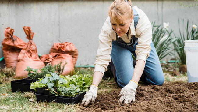woman kneeling down and gardening