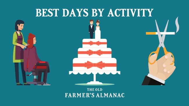 Best Days by Activity