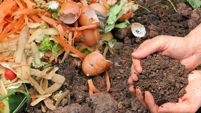 A pile of compost with food wast in the left hand corner. There are a pair of hands in the right hand corner cupping a pile of compost.