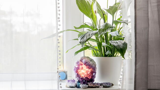 Crystals and Houseplant