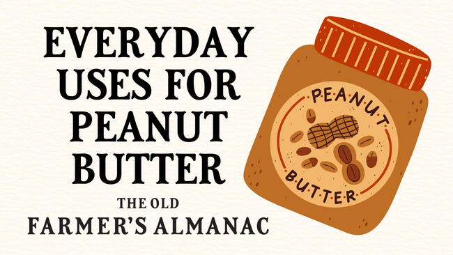 illustrated graphic of a peanut butter jar, everyday uses for peanut butter