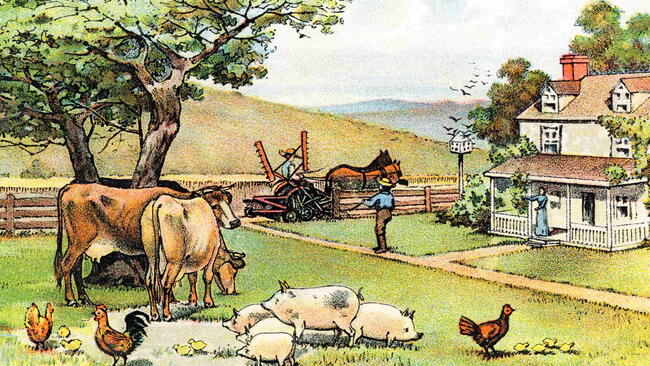 Illustration of a farm with livestock, fields, and a farmhouse