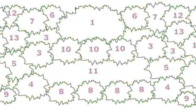 Garden Plot Plan for 3-Season Color