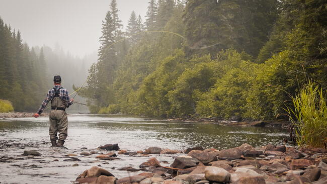 Man fly fishing in a calm foggy river at dawn