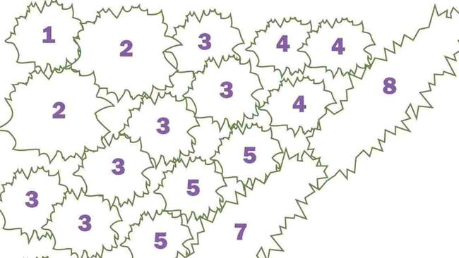 foliage garden plot plan design
